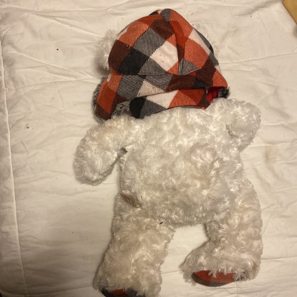 Bear - Picture 3 of 3
